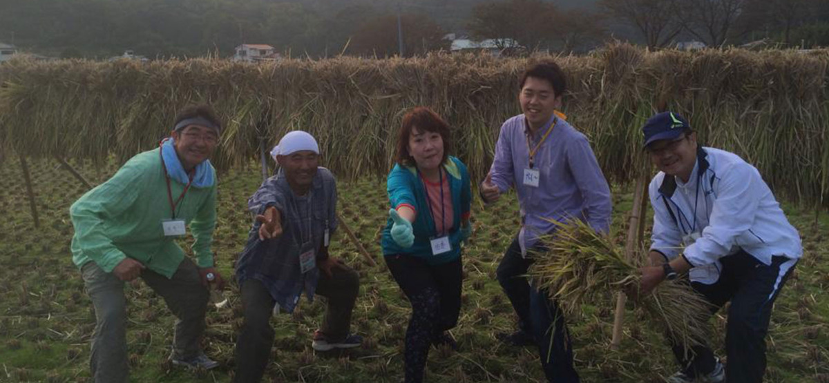 伊豆松崎とんび農園